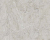 DL-20623 Rhyolite Quartz Slab Counter Top 